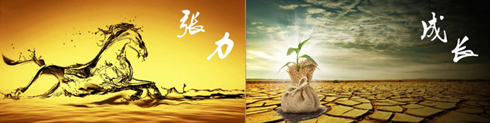 企業(yè)發(fā)展要學(xué)會(huì)取他人之長、補(bǔ)自己之短